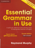 Essential Grammar in Use (4th Edition).pdf